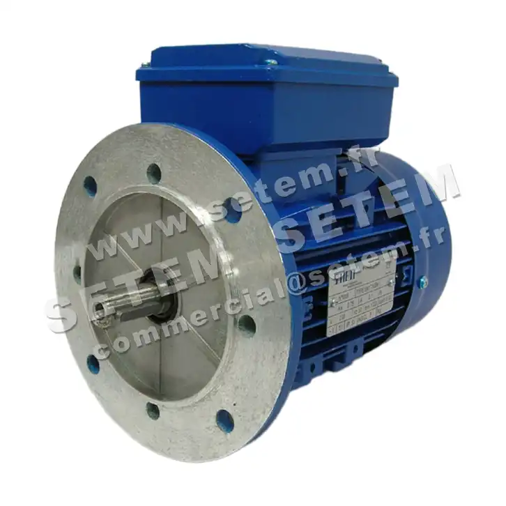 6302006716-MOTEUR SMEM VARIABLE 0.75KW 4P M230V HA80 B5