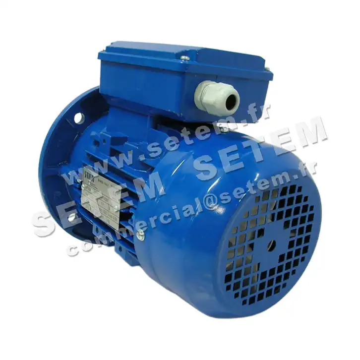 6302006716-MOTEUR SMEM VARIABLE 0.75KW 4P M230V HA80 B5 2
