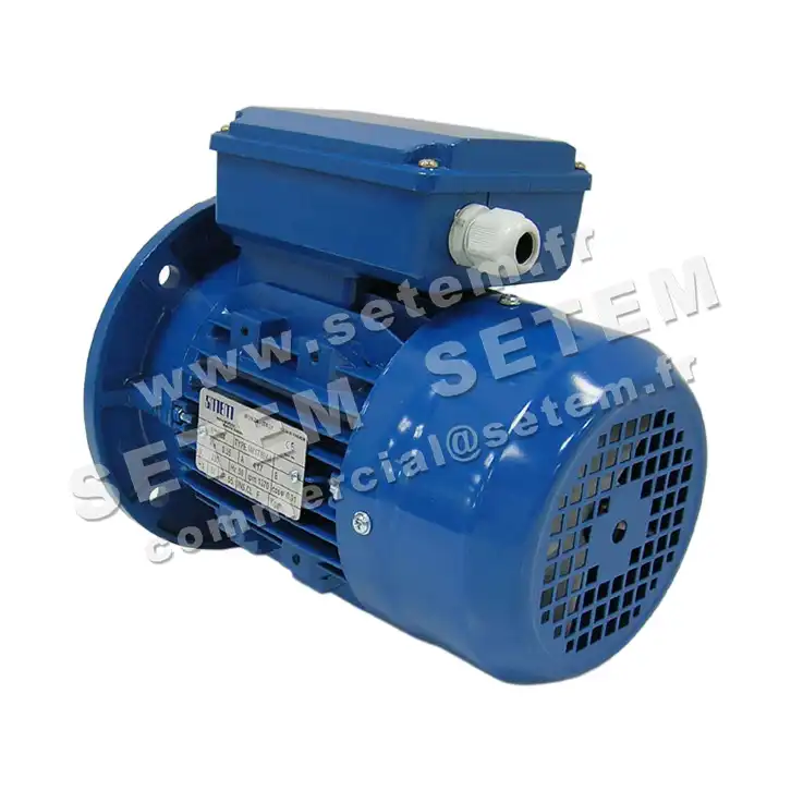 6302009802-MOTEUR SMEM VARIABLE 0.55KW 4P M230V HA80 B5 *6MYT80A4* 2
