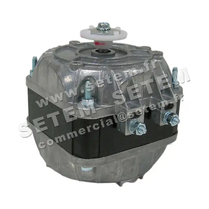 6329000160-MOTEUR TEDDINGTON RM 16W M230V 2