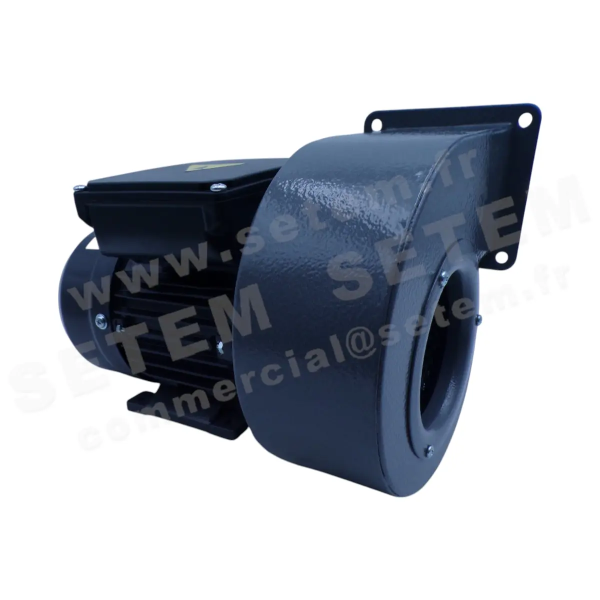 6915103125-VENTILATEUR VORTICE C10/2M *1513000036* 2