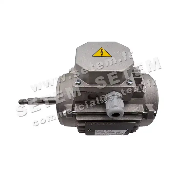 6915109678-MOTEUR VORTICE H63B/4-(TENV) *1.469.000.009* 3