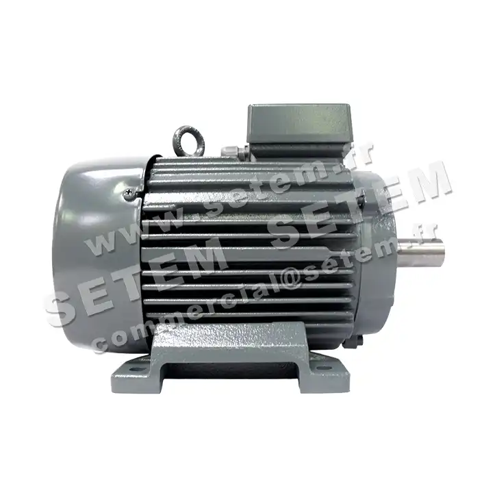6961004810-MOTEUR VEM 2.80/0.70KW 2/4P T400V HA100 B3 K21R100L4.2LPTO 2