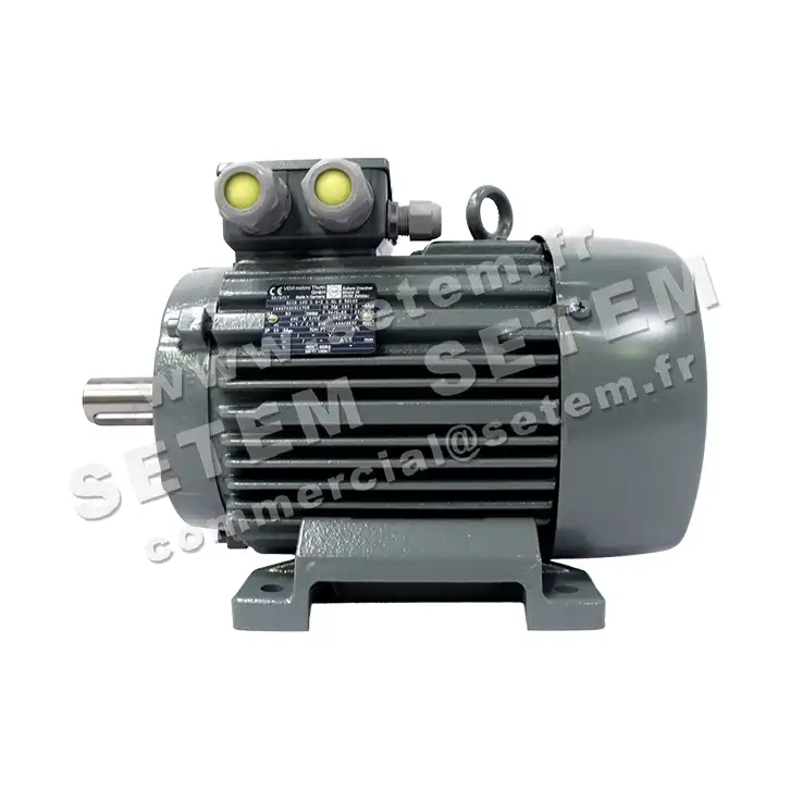 6961004810-MOTEUR VEM 2.80/0.70KW 2/4P T400V HA100 B3 K21R100L4.2LPTO 4