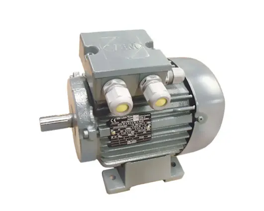 6961005230-MOTEUR VEM 0.70/0.18KW 4/8P T400V HA80 B3 K21R80G8.4LHLHTS140