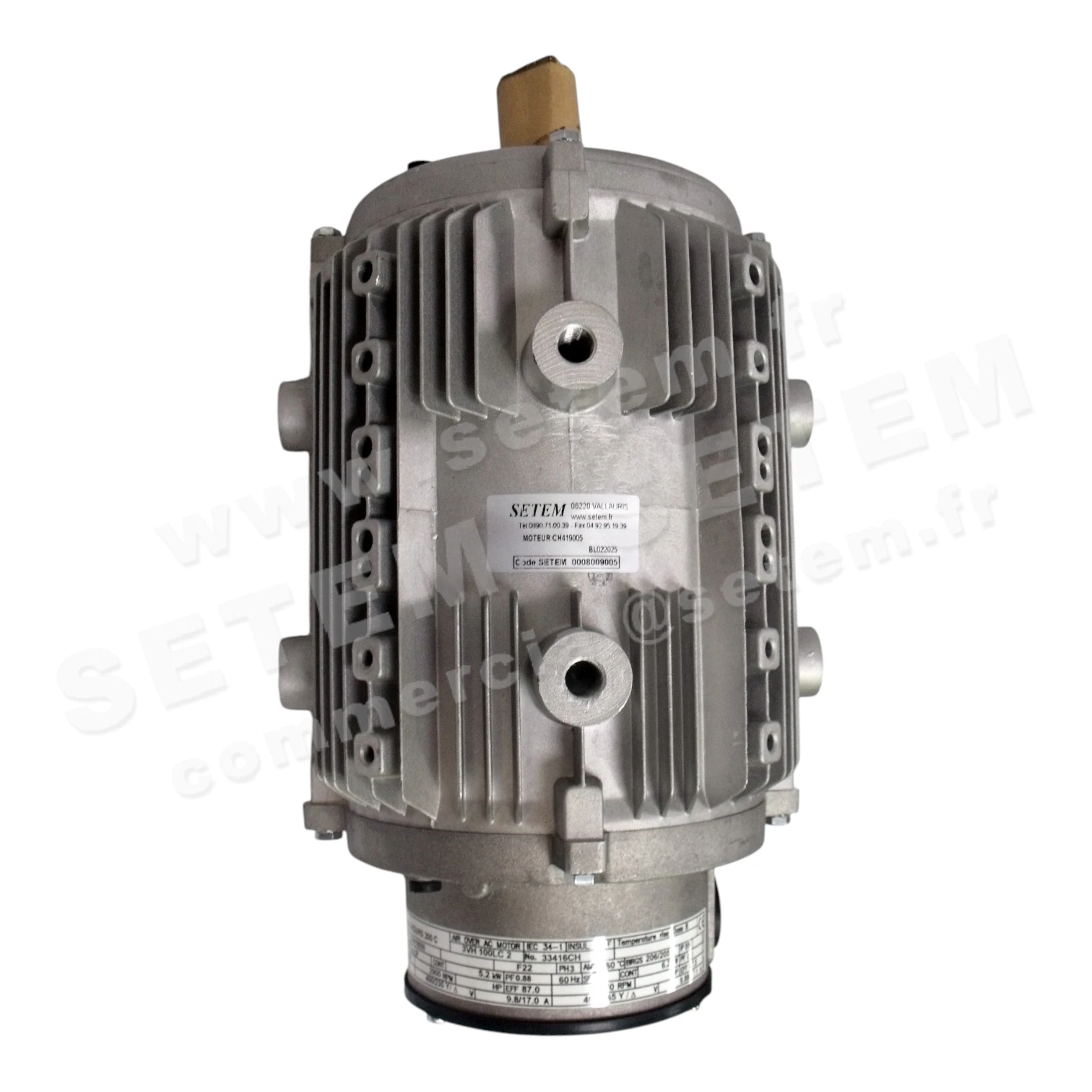 7209009005-MOTEUR WOODS 3VH100LC2 *CH419005* 2
