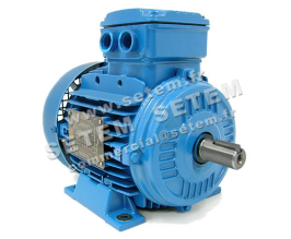 7232101060-MOTEUR WEG 0.75KW 4P T230/400V HA80 B3 AL80-04