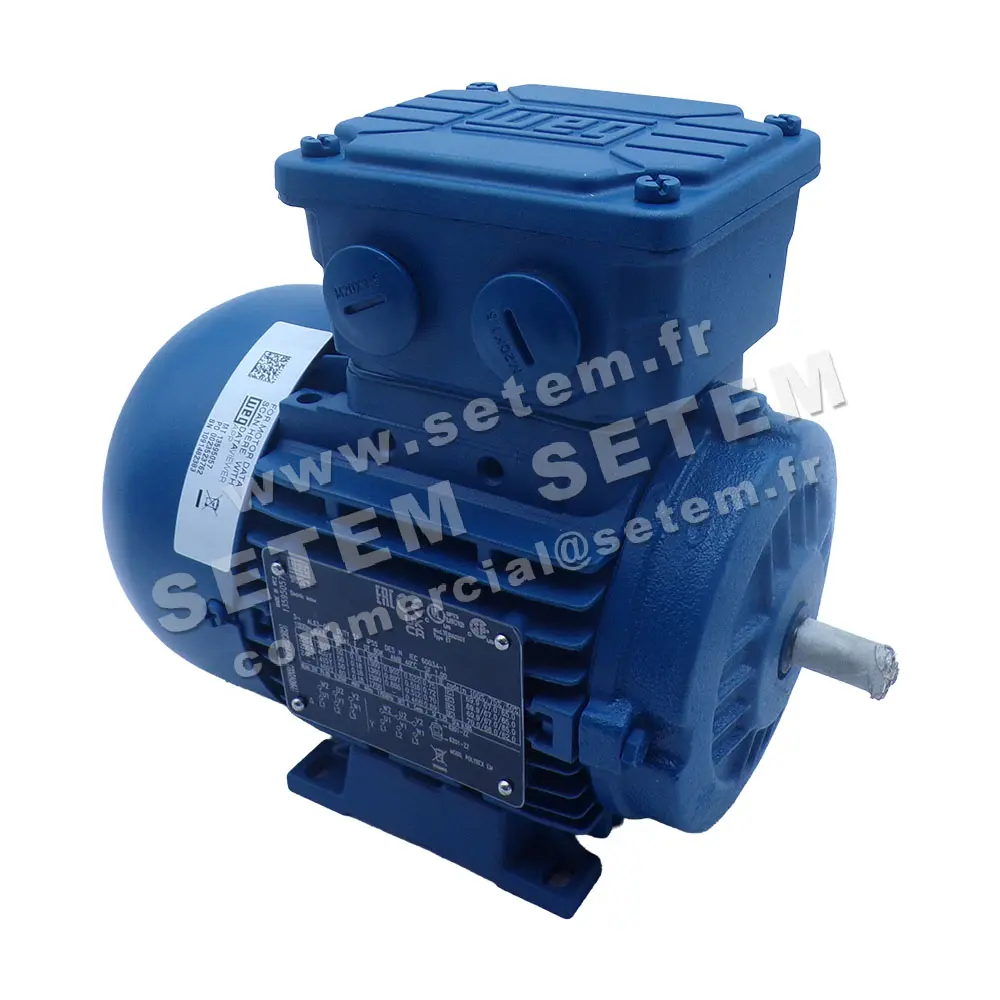 7232102075-MOTEUR WEG 0.18KW 4P T230/400V HA63 B3 AL63-04
