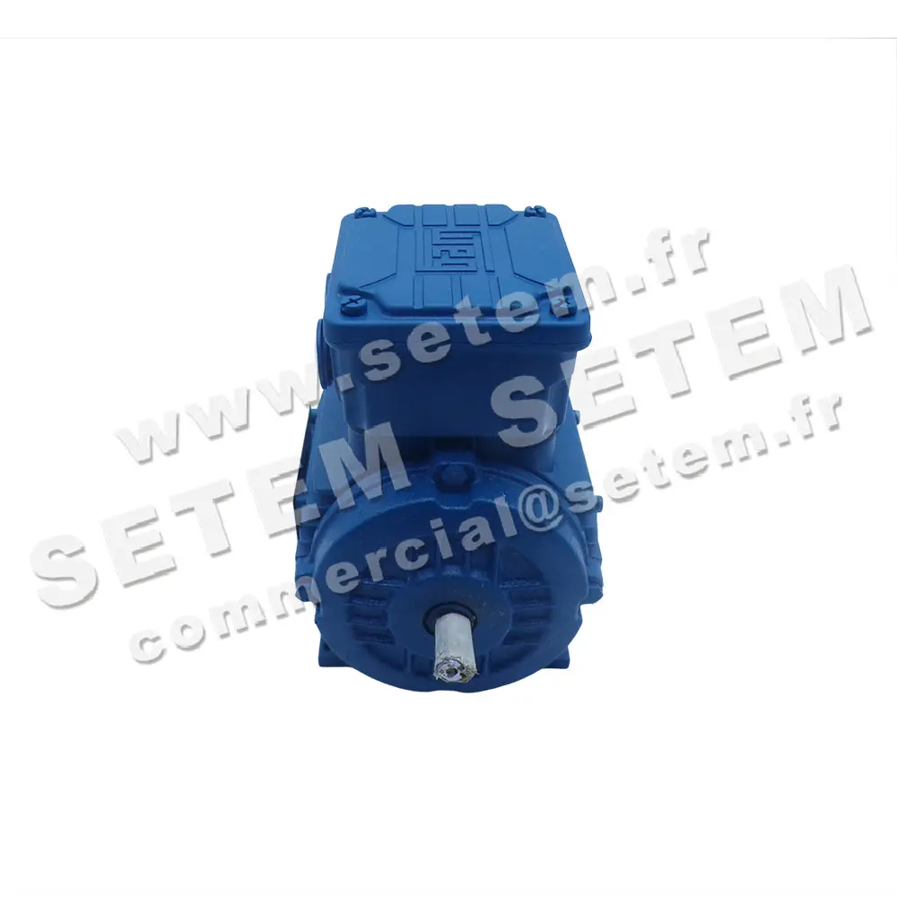7232102075-MOTEUR WEG 0.18KW 4P T230/400V HA63 B3 AL63-04 2
