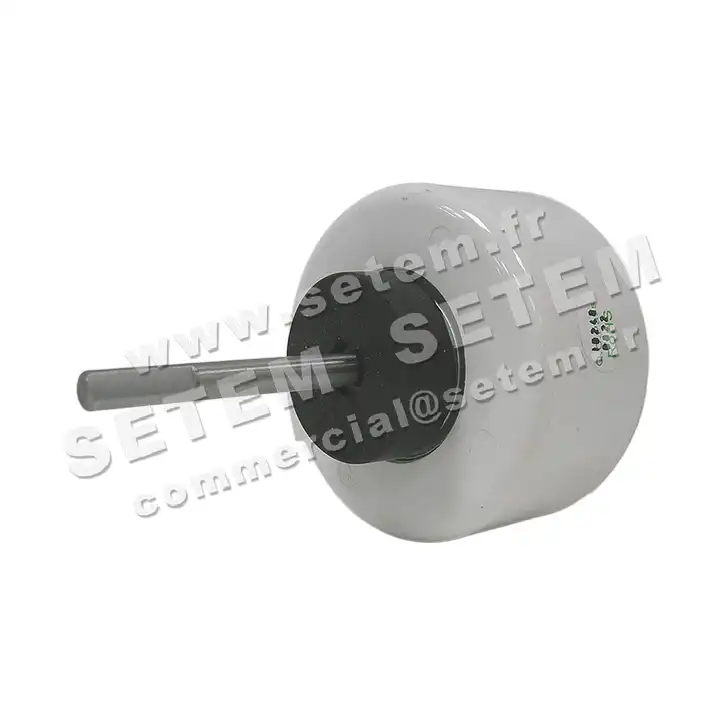 7239000050-MOTEUR WELLING RPS5S.1 "261486" 3