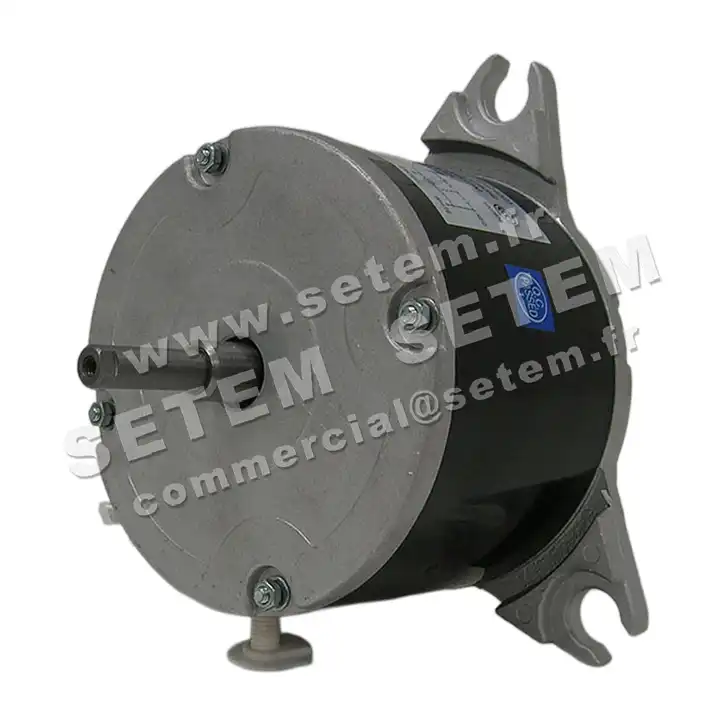 7239000242-MOTEUR WELLING YFK.19.6 "C025324H02" 2