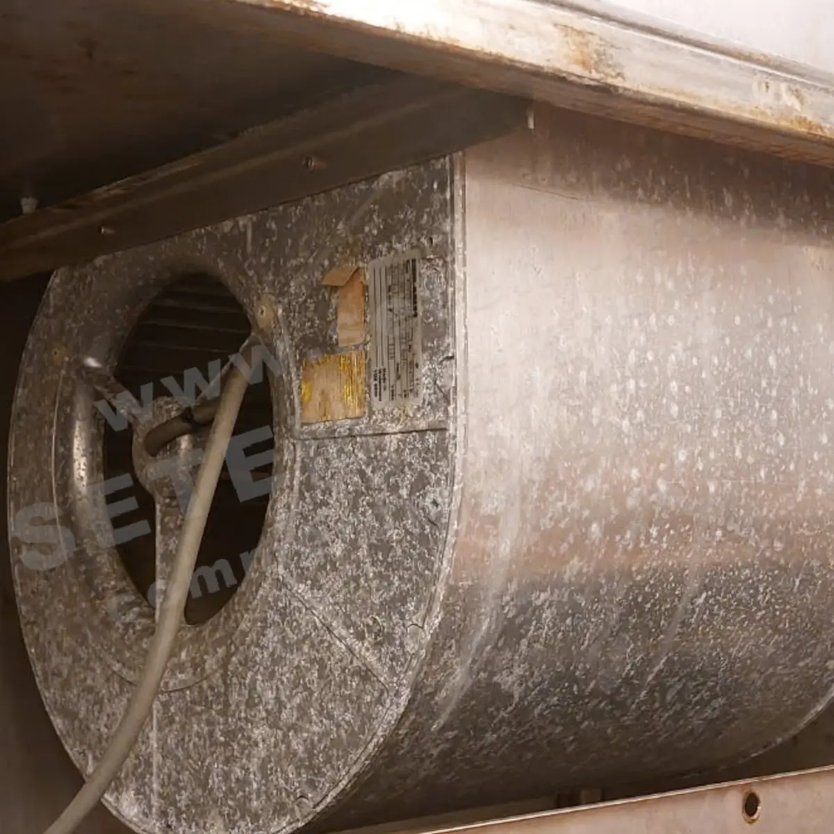 9903009050-VENTILATEUR ZIEHL ABEGG RD25S-4DW.4I.2L